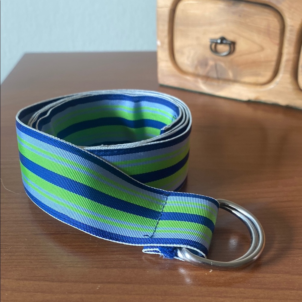 J. Crew Striped Ribbon Belt